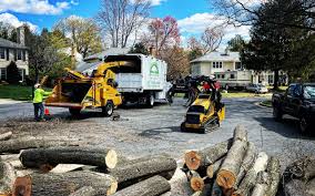 Best Tree Disease Treatment  in Richfield, WI