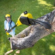 Best Soil Testing and Treatment  in Richfield, WI
