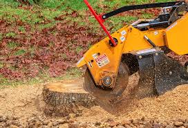 Best Seasonal Cleanup (Spring/Fall)  in Richfield, WI