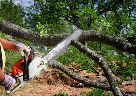 Best Lawn Grading and Leveling  in Richfield, WI